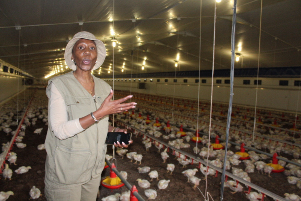 The Chief Executive Officer of PMM Agri, Dr Patience Mlengana