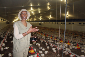 The Chief Executive Officer of PMM Agri, Dr Patience Mlengana